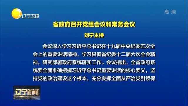 辽宁省政府召开党组会议和常务会议,刘宁主持