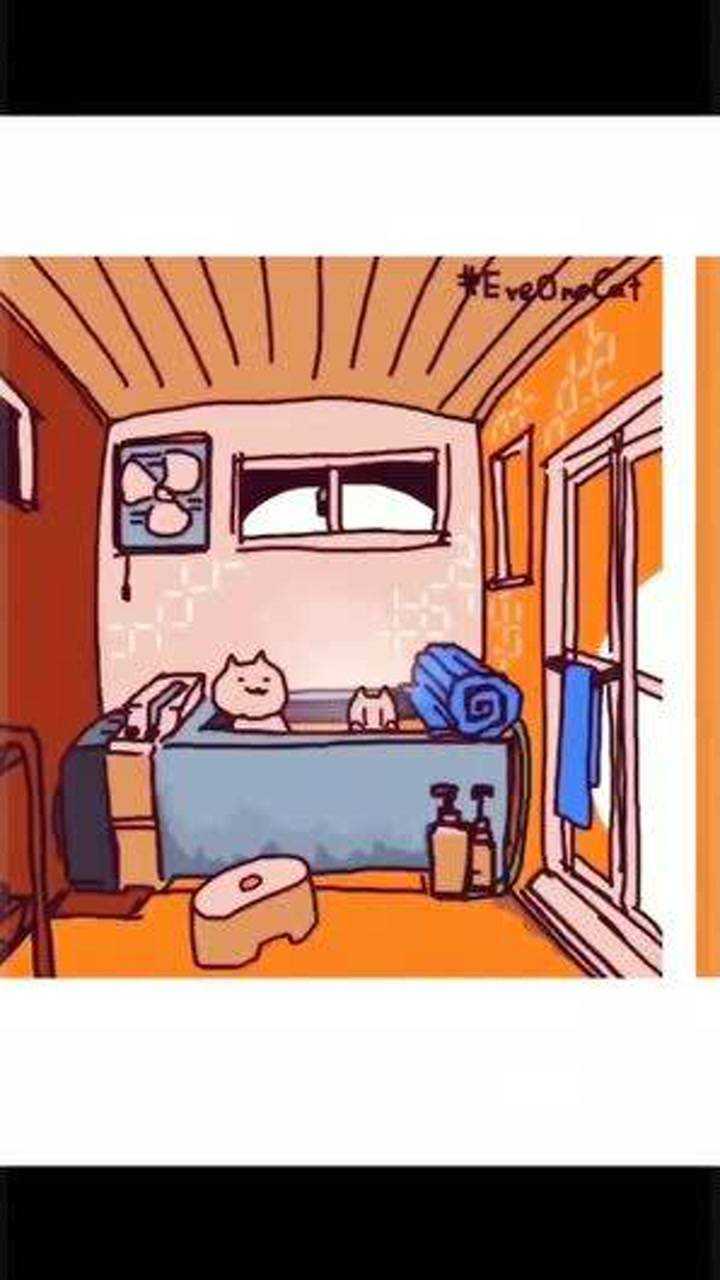 eveonecat系列可爱表情包可爱的猫猫