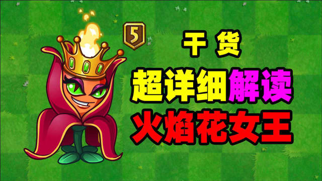 你必须要知道的知识点:火焰花女王测评!