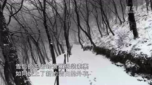 五老峰景区 新春瑞雪