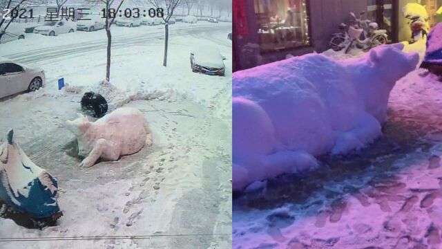 牛年第一场雪,店主门前堆出3米长大雪牛:花了3小时每年都会堆