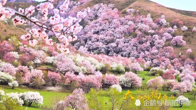 一个美的让你窒息的地方,霍城县大西沟福寿山