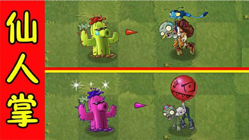植物大战僵尸2:二代仙人掌的特性,气球僵尸原来这么高!