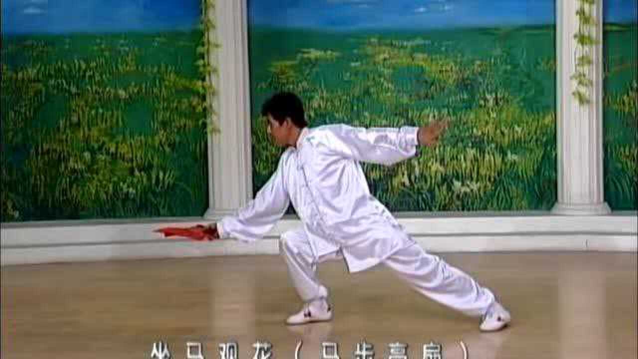 52太极功夫扇第一套慢动作背向(高清)_高清1080P在线观看平台_腾讯视频