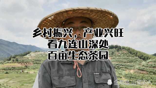 广东和平老板返乡投资千万,开垦300亩茶园,不用农药化肥只做有机茶