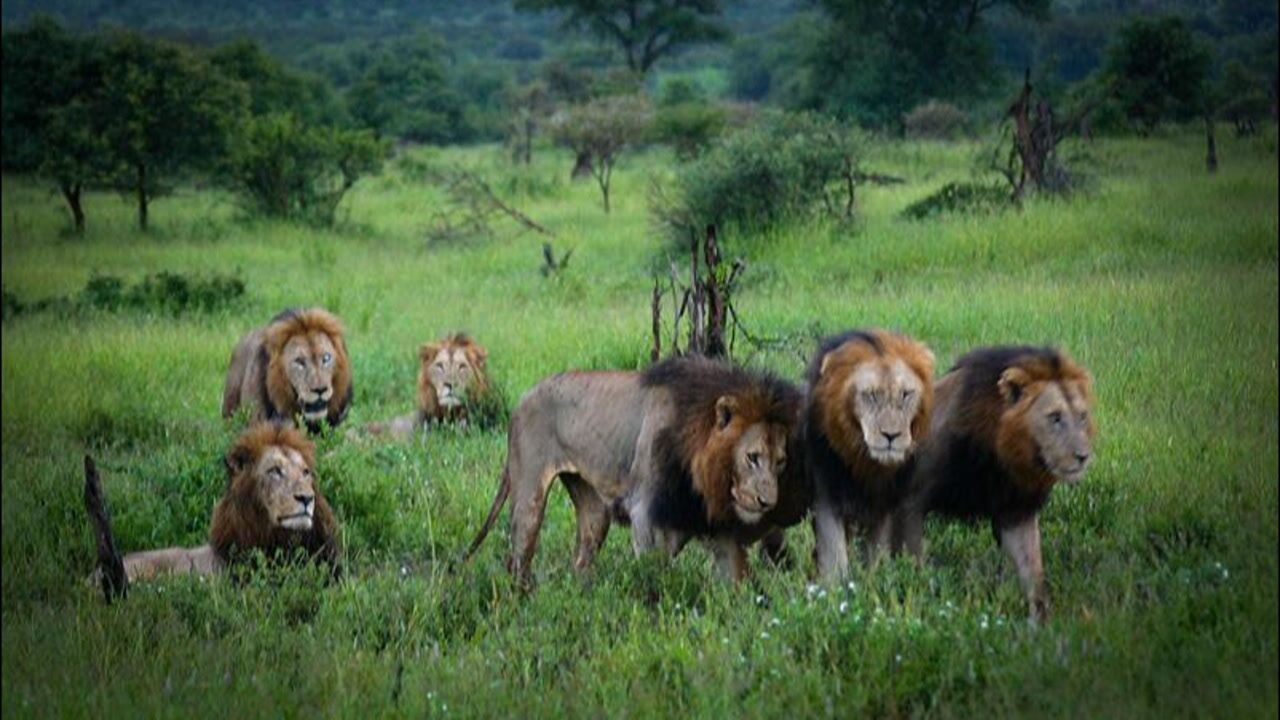 坏男孩联盟(十五终):联盟落幕_腾讯视频