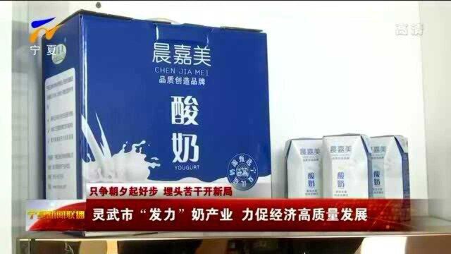 灵武市“发力”奶产业 力促经济高质量发展