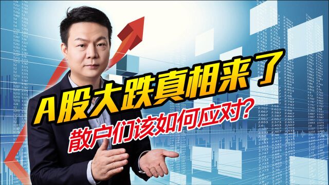 A股放量大跌是为何?都出了哪些黑天鹅?散户们后市该如何应对?