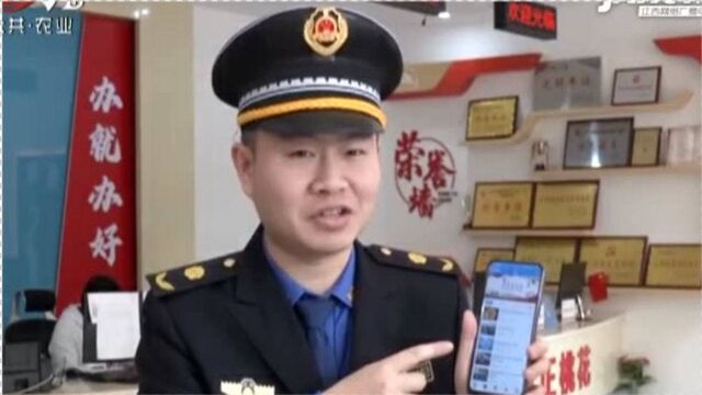 江西省首个城管App上线 市民投诉只需随手拍!