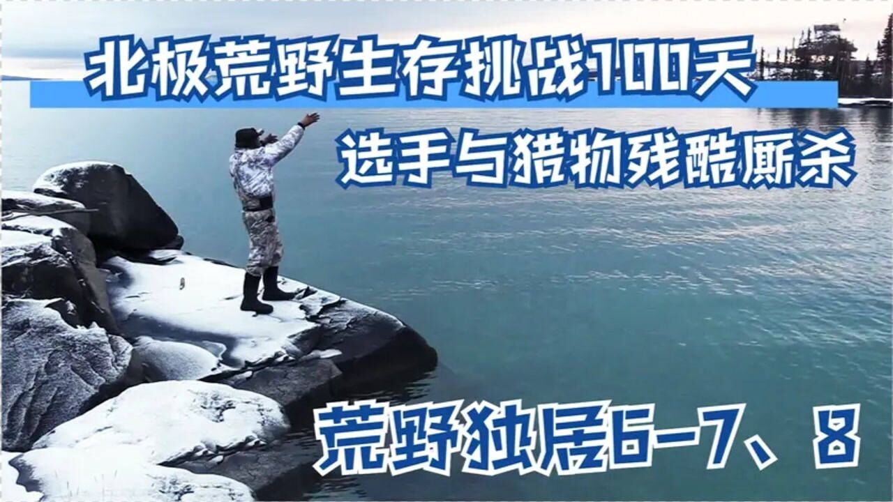 荒野独居678北极荒野生存挑战100天选手与猎物搏斗