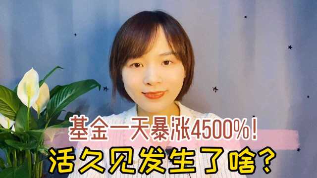 净值一天暴涨4500%?活久见!巨额赎回背后的秘密,谁在躺赚?