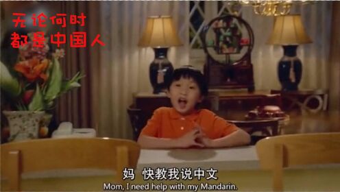 华裔妈妈教育自己的孩子，无论何时自己都是中国人，这三观太棒了！