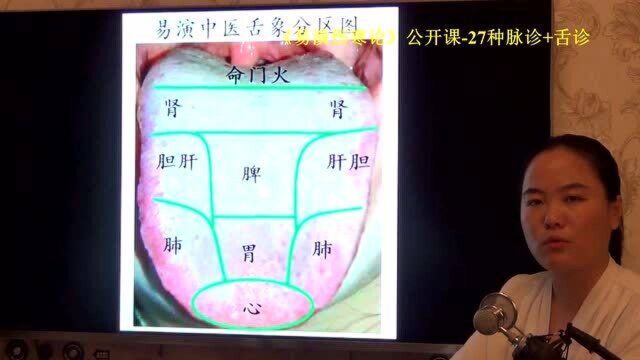 中医脉象不同特点五个分类 易演伤寒论公开课4