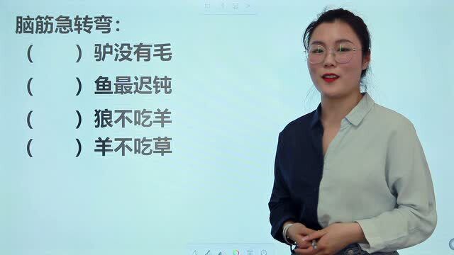 小学脑筋急转弯:什么羊不吃草,什么狼不吃羊,什么驴没有毛