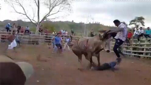 公牛甩落斗牛士将众人挨个顶飞 大爷壮胆举起白布 惊悚一幕发生