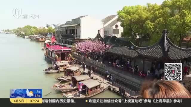 朱家角古镇人流如织 分批限流游览水乡美景