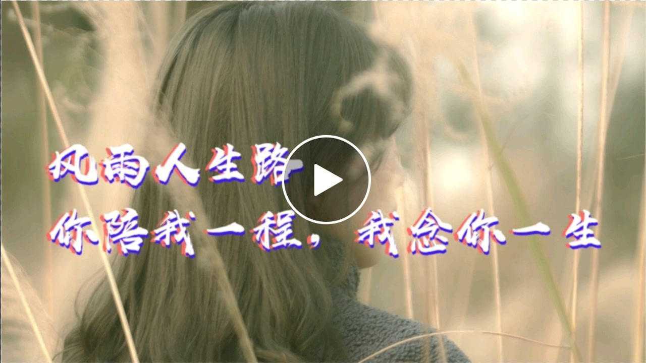 风雨人生路,你陪我一程,我念你一生