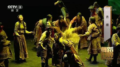 来欣赏舞蹈《青稞》，再现藏族人民劳动情境！太精彩