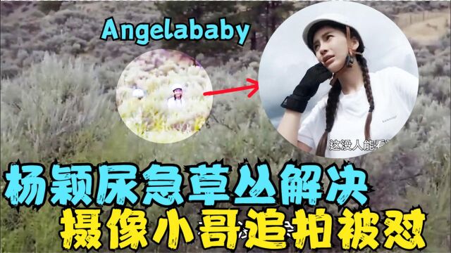 明星尿急合集,Angelababy杨颖草丛解决被拍,邓紫棋用塑料盆解决