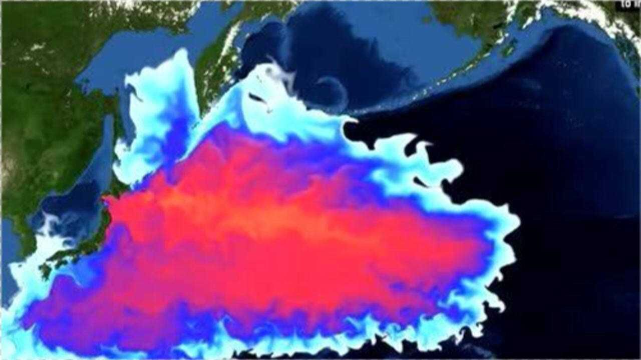 日本核污水57天将污染半个太平洋,核污染扩散电脑模拟_腾讯视频