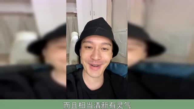 李菲儿的嘴怎么了李菲儿退出乘风破浪的原因是黄晓明吗