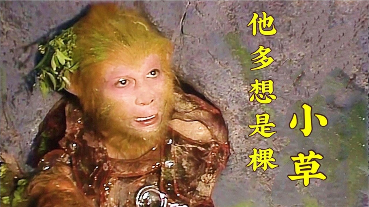 西游记试播插曲他多想是棵小草丁小青演唱很多人都没听过