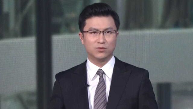 央视主播沙晨评特斯拉车主事件:对刹车质量 谁都不应妥协!