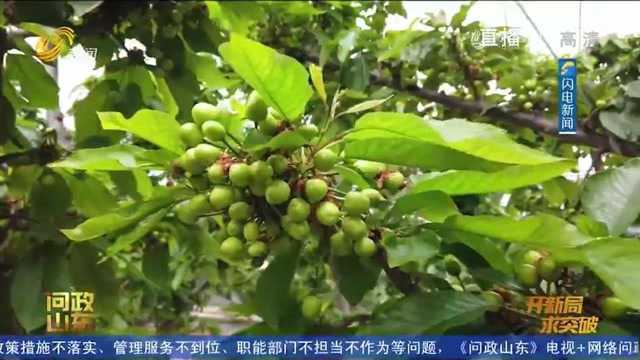 “简单粗爆”内外包装表里不一!省农业农村厅副厅长:虚假宣传