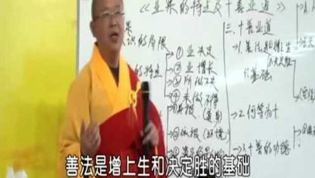 仁清法师: 业果的特点及十善业道188