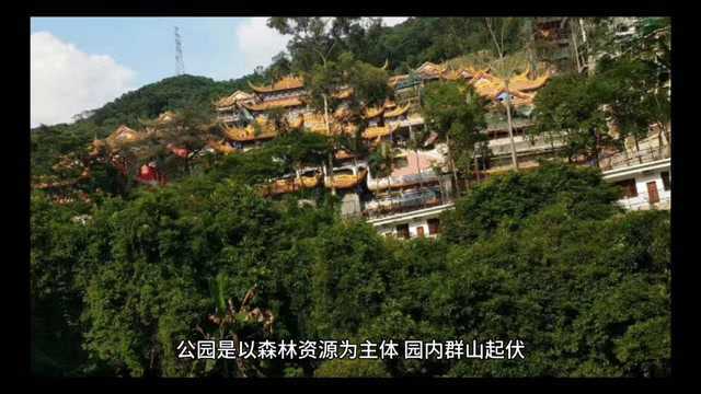 大岭山森林公园和虎门炮台哪里比较好玩?