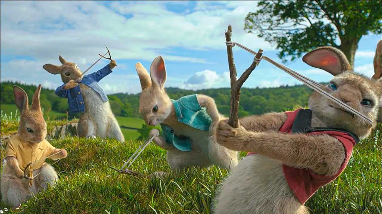 电影《比得兔》:跑起来的兔兔们太可爱了,燃烧我的卡路里