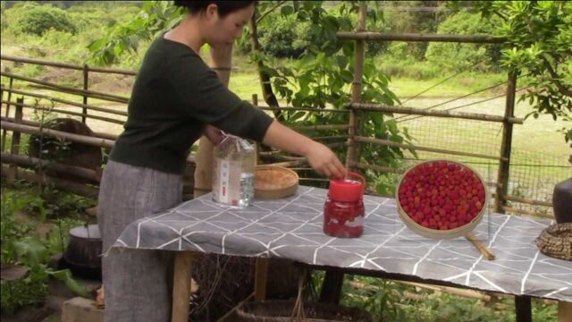 抓住春天的尾巴,在乡村的田野摘筐树莓,泡坛树莓酒,补肾又健体