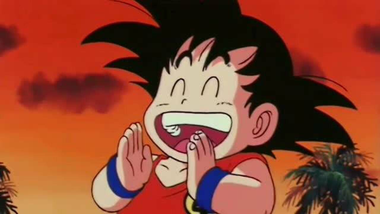 七龙珠天下第一武道大会决赛悟空败北冠军归属龟仙人