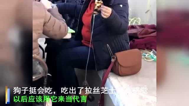 狗子挺会吃,吃出了拉丝芝士的真感觉,以后应该用它来当代言