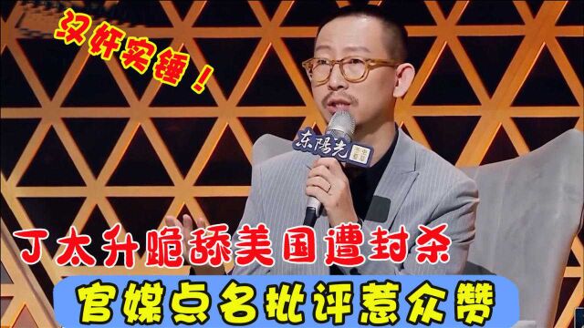 丁太升汉奸身份疑曝光?公然发表辱华言论,遭官媒点名批评