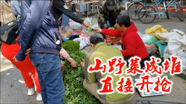 丹东二街早市山野菜成堆,10元3斤都在抢购,有的品种都不认识