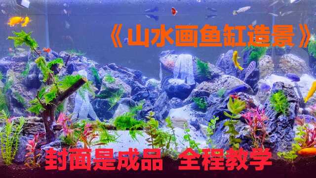 小伙用山水画鱼缸造景,加水遇到塌陷,得到泥石流自然景观太美了