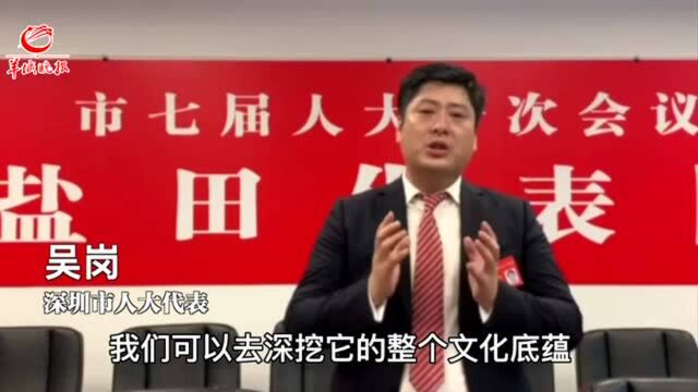 【代表“深”关注】深圳市人大代表吴岗:推进沙头角免税购物中心项目