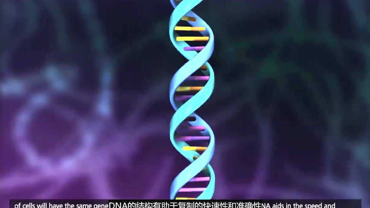 3D演示,DNA复制_腾讯视频