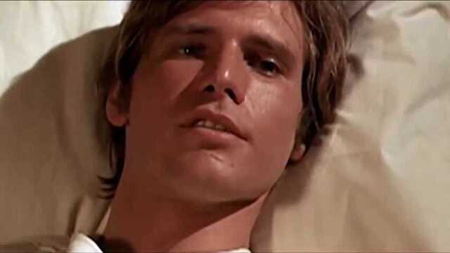 哈里森ⷧ揧‰𙮐‹Harrison Ford