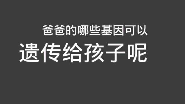 爸爸的那些基因可以遗传给孩子呢?快来看一看你家孩子有没有中招!