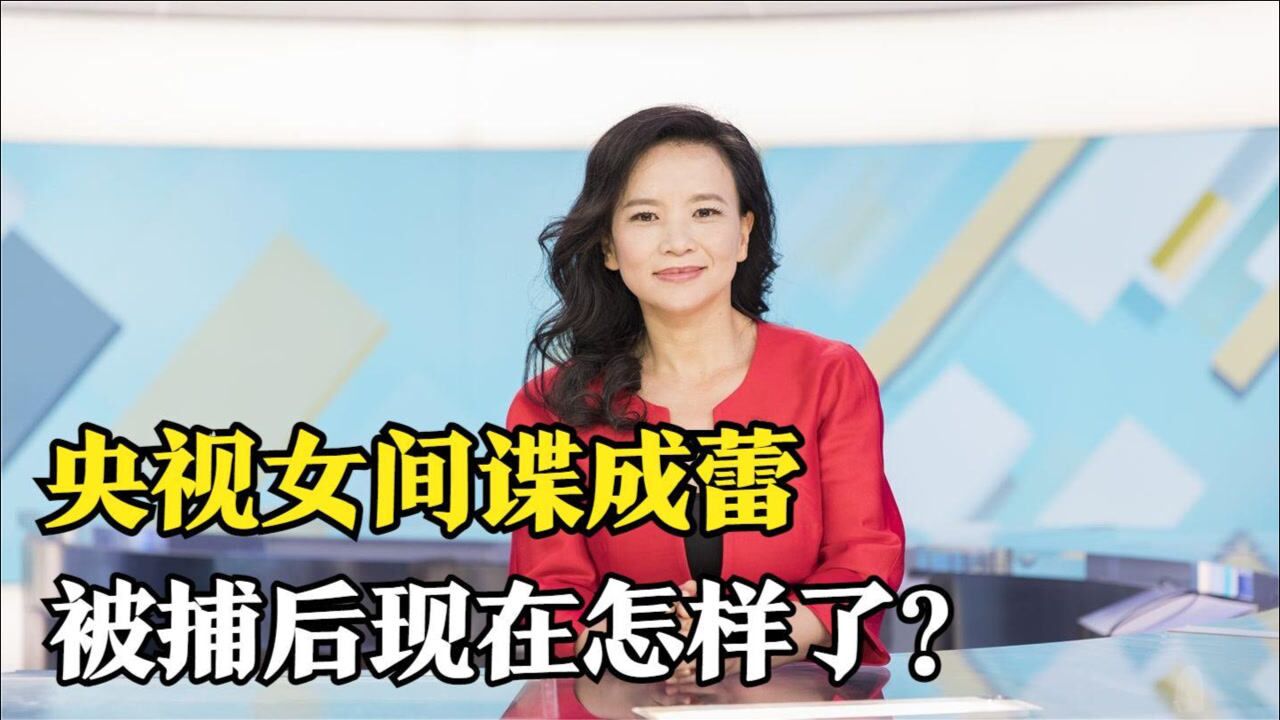 包含央视间谍主持人女成蕾口误视频的词条