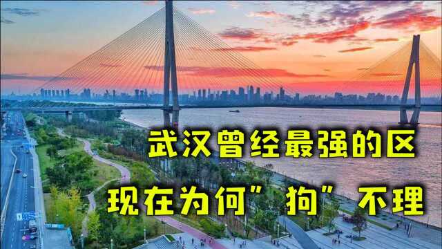 武汉这个曾经的最强城区,为何现在变死城?网友:不配当主城!