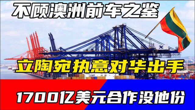 不顾澳洲前车之鉴,立陶宛执意对华出手,1700亿美元合作没他份