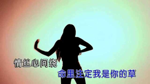 白沐兮为你画地为牢 红日蓝月KTV推介