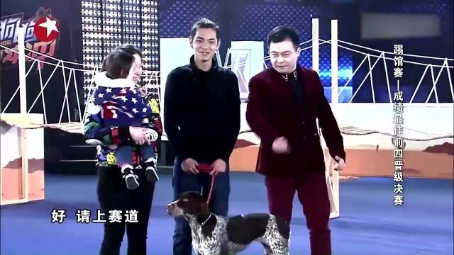 狗狗冲冲冲:德国波音达猎犬来踢馆,全程听主人的话!