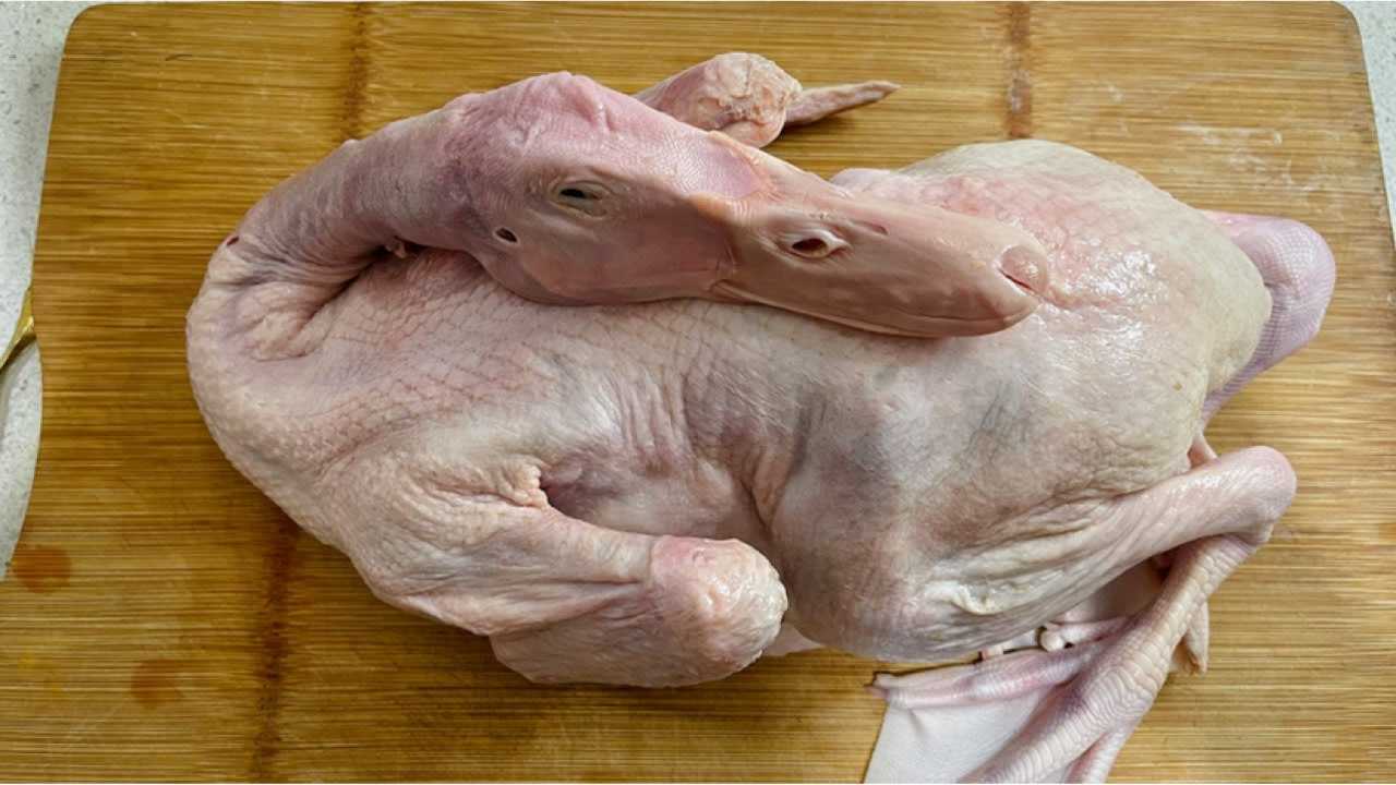 鸭子身上7个部位毒素最多,不要随便吃,大厨专业讲解,长知识