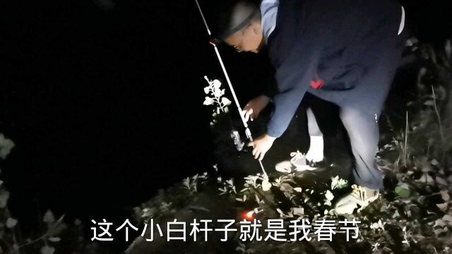 野钓浑水鱼,这样用饵,包你爆护