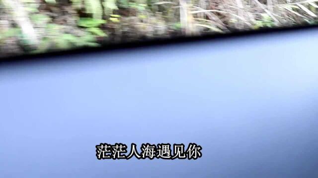 贵州山歌《茫茫人海遇见你》经典山歌,民间小调