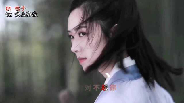 经典音乐推荐《鸭子》《黄土高坡》太好看了